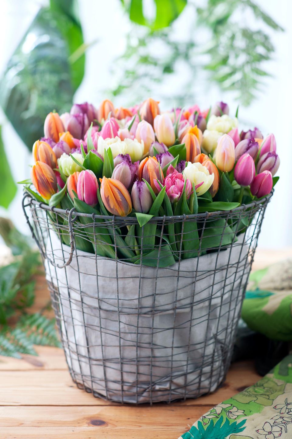 Tulpen in einem großen Kübel für die Terrasse