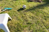 Garten mit Harke, Fußball und Laubhaufen auf dem Rasen