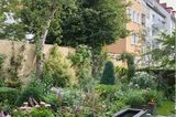 Blick auf eine begrünte Gartenmauer in einem Innenhofgarten