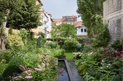 Prächtiger Hinterhofgarten mit Wasserbecken und vielen Blühpflanzen