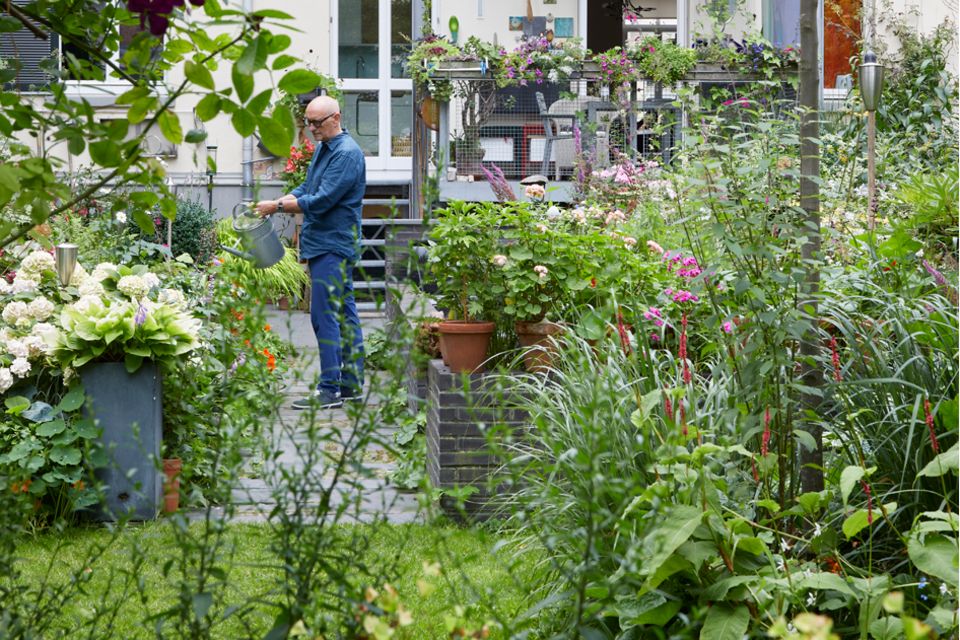 54+ Oststadt Gartenanlage Eisenach Garten, Kleingartenverein eisenach