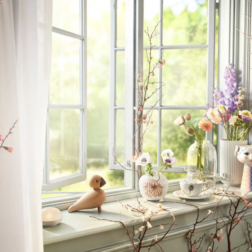 12 beliebte Pflanzen für die Fensterbank [SCHÖNER WOHNEN]