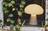 Lampe in Form eines Pilzes im Fenster stehend, von Efeu umrankt