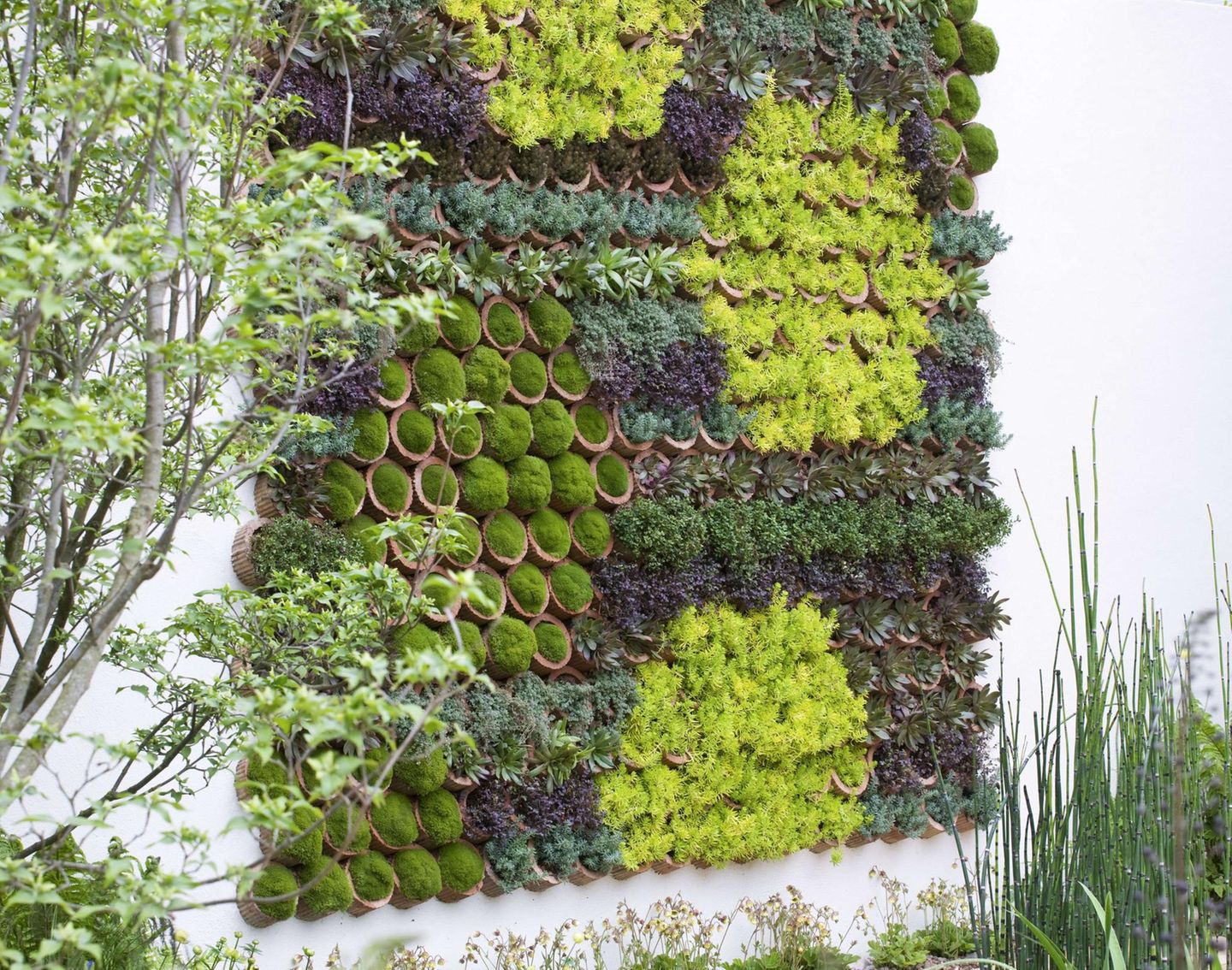 Vertikale GärtnerKunst für Wände und Mauern [SCHÖNER WOHNEN]