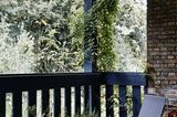 Möbel von Montana auf einem minimalistischen Balkon mit Kletterpflanzen