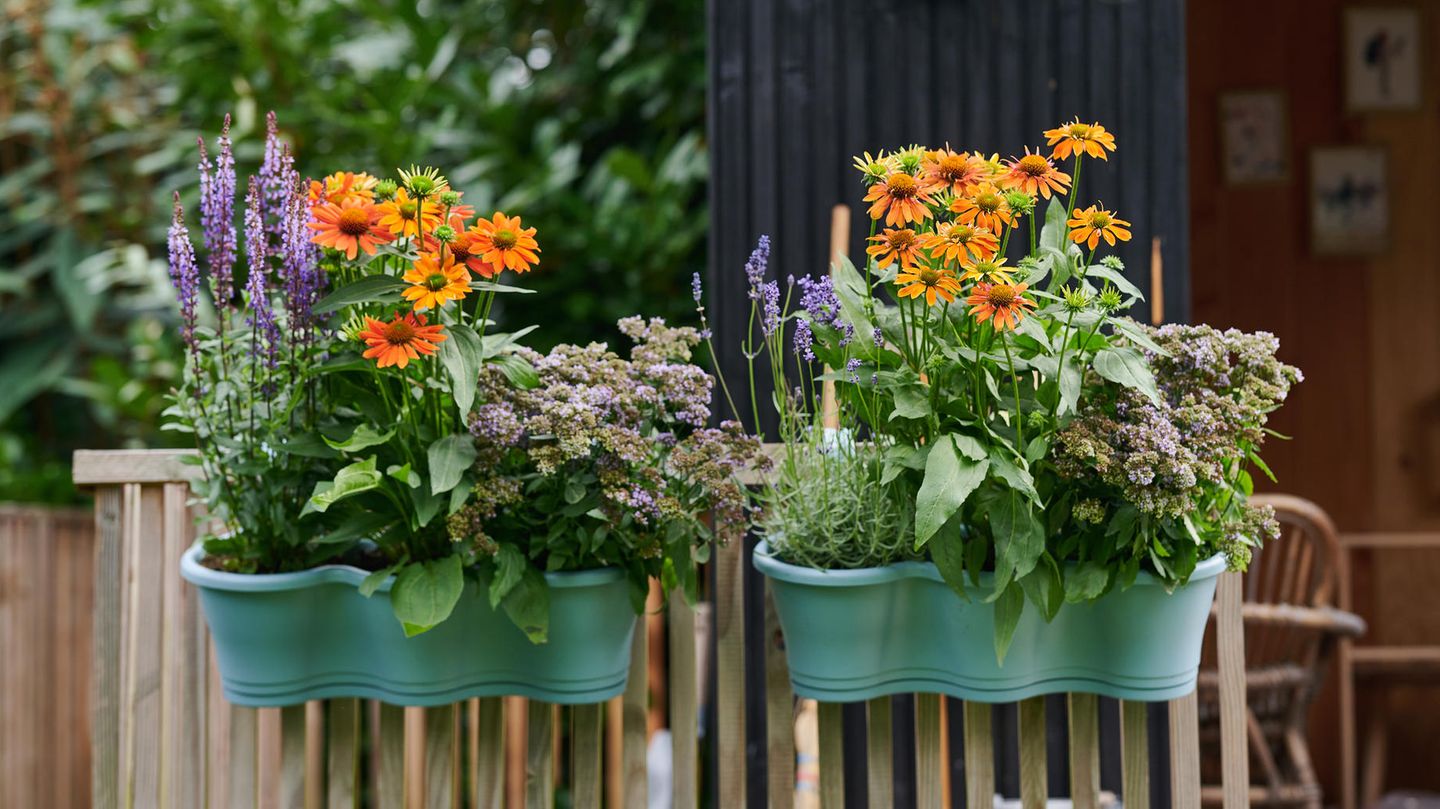 Blumenkbel bepflanzen: Die besten Tipps & Ideen - [SCHNER WOHNEN]