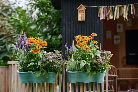 Mintfarbene Blumenkästen mit verschiedenen bunten Blumen an einem hellen Gartenzaun arrangiert