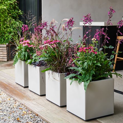 Blumenkübel bepflanzen Die besten Tipps & Ideen [SCHÖNER WOHNEN]