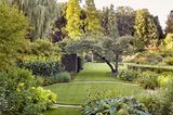 Gelb blühender Garten mit halbhohen Lärchenhecken und geometrischen Formen