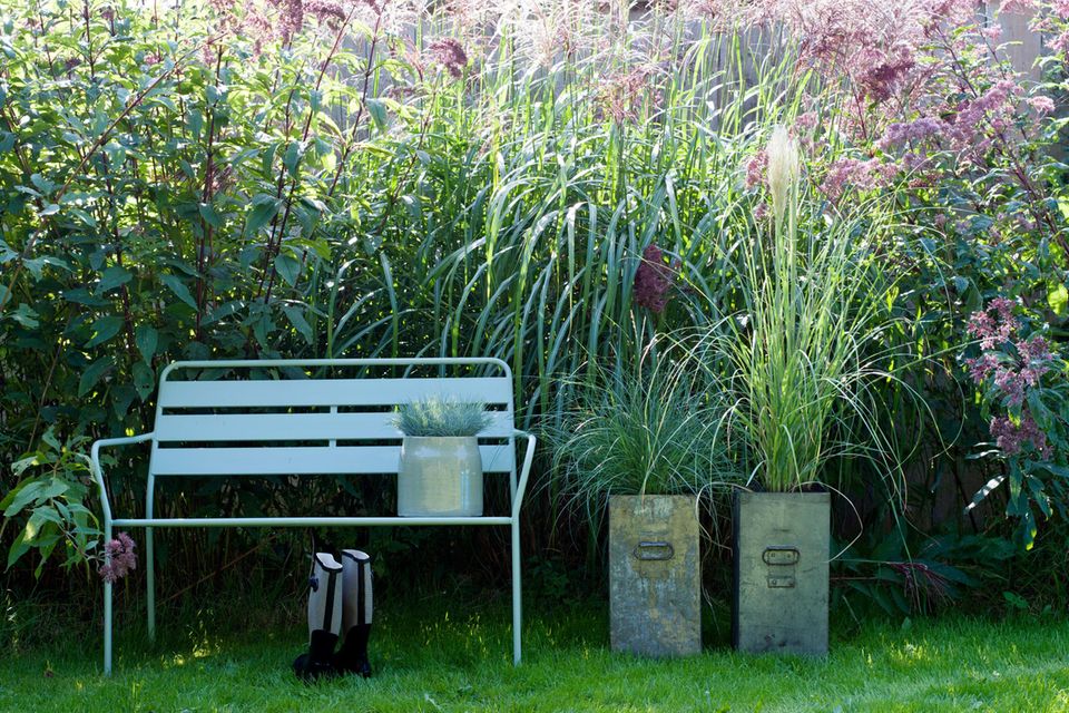 Grser im Garten: Gestaltungsideen fr einen Grsergarten - [SCHNER WOHNEN]