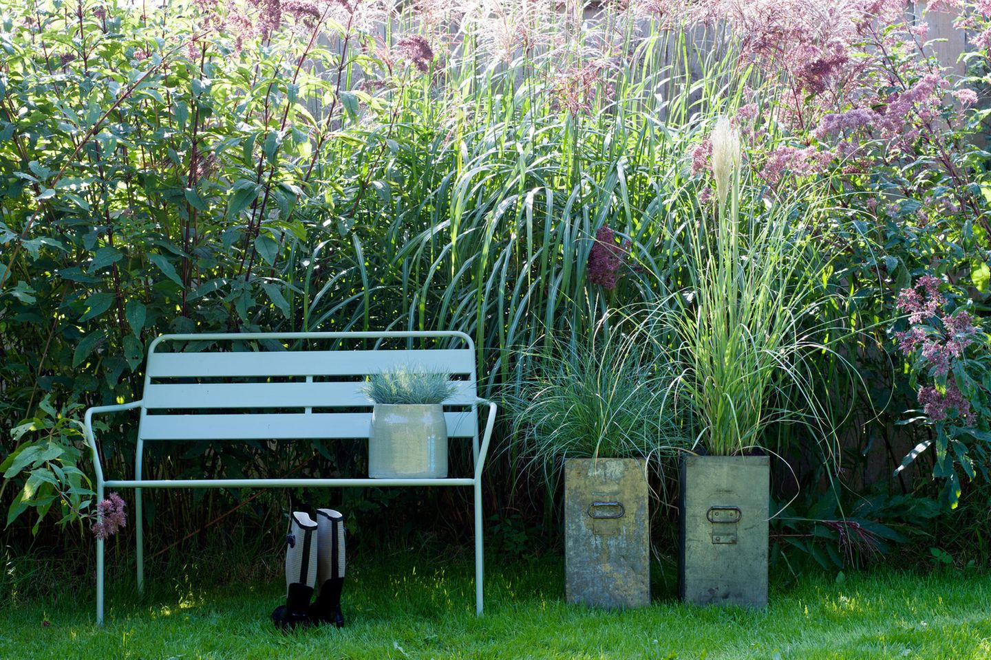 Sichtschutz-Pflanzen fr Garten & Terrasse - [SCHNER WOHNEN]