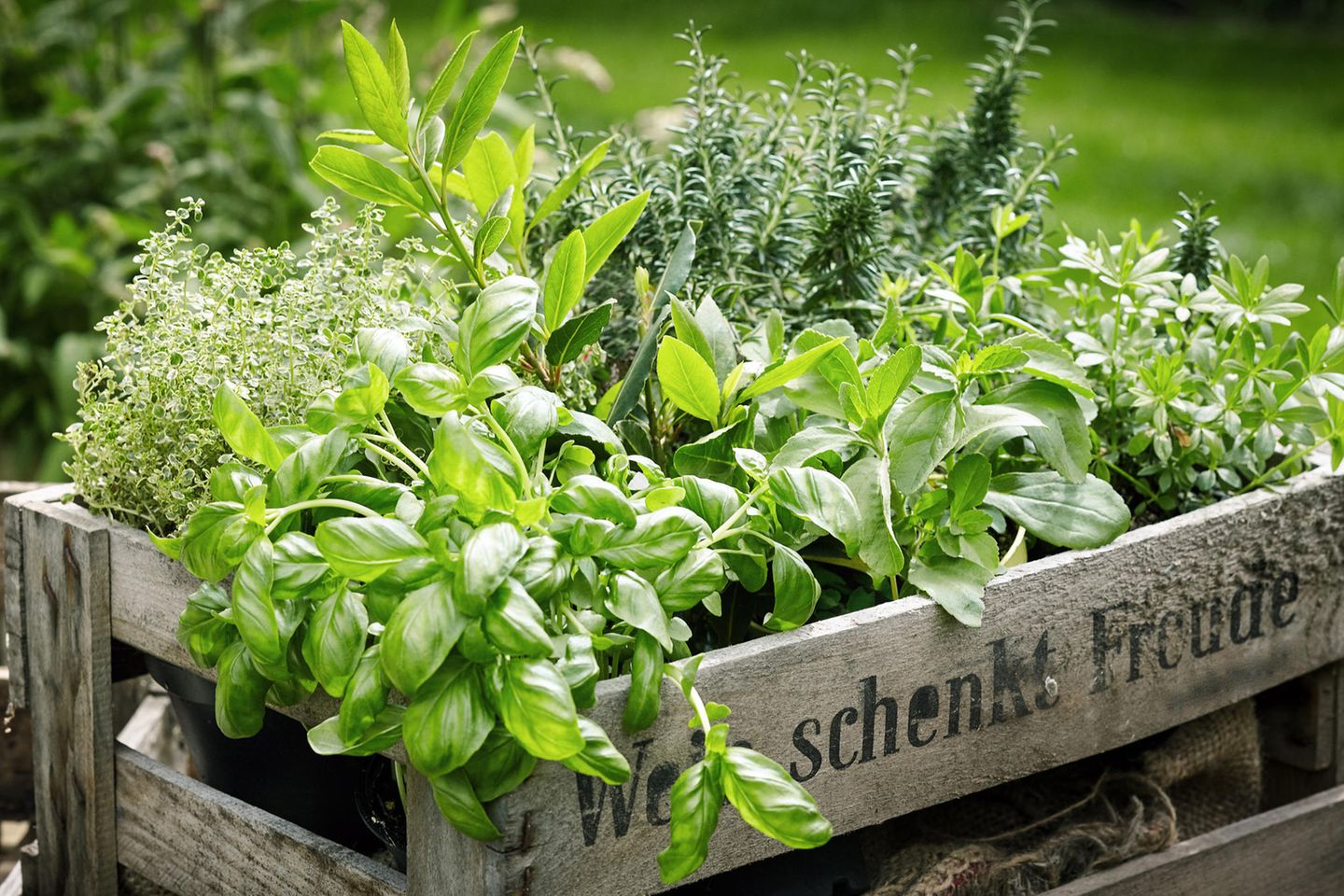 deko glassteine Glasbrocken türkis, Glassteine, Highlights für Garten und Parks Variante:2