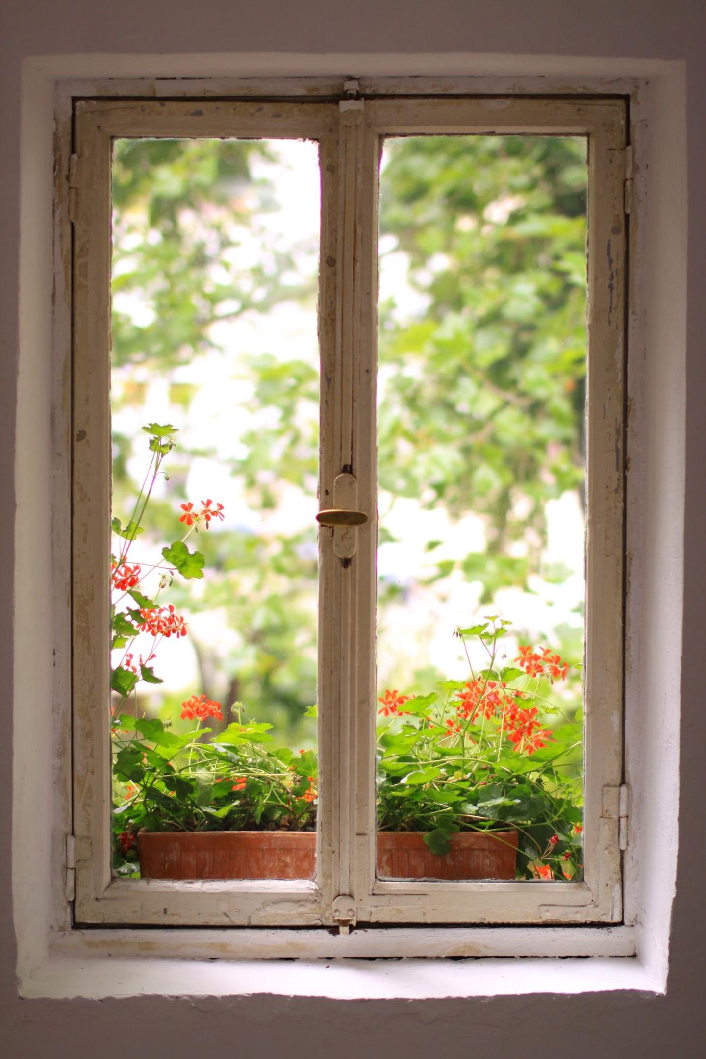 Wo man Altbaufenster für den Garten finden kann