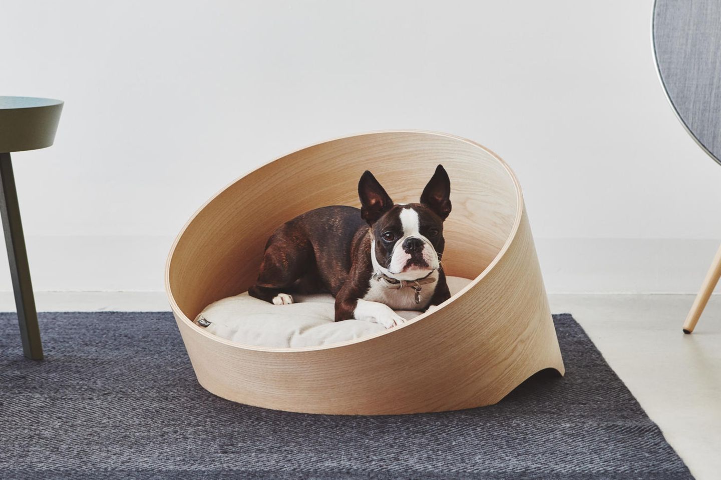 Orthopdisch wertvoll: druckentlastendes Design-Hundebett - [SCHNER WOHNEN]