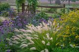 Modernes Blumenbeet: Ziergräser als Gestaltungselement