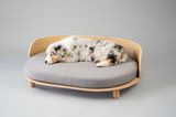 Mini Aussie auf einem Luxus-Hundesofa von Labvenn