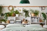 Bett vor Bücherregalen mit Pflanzen