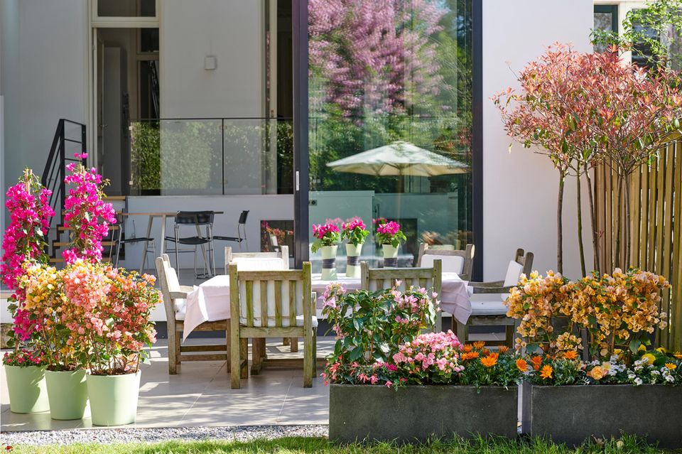 Sitzecke auf einer sonnigen Terrasse mit Holzstühlen, weißem Tuch und Kübelbepflanzung rundherum
