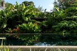 Pool mit tropischen Pflanzen rundherum