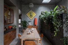 Dunkles Esszimmer mit langer Holztafel und Sichtschutz aus Zimmerpflanzen