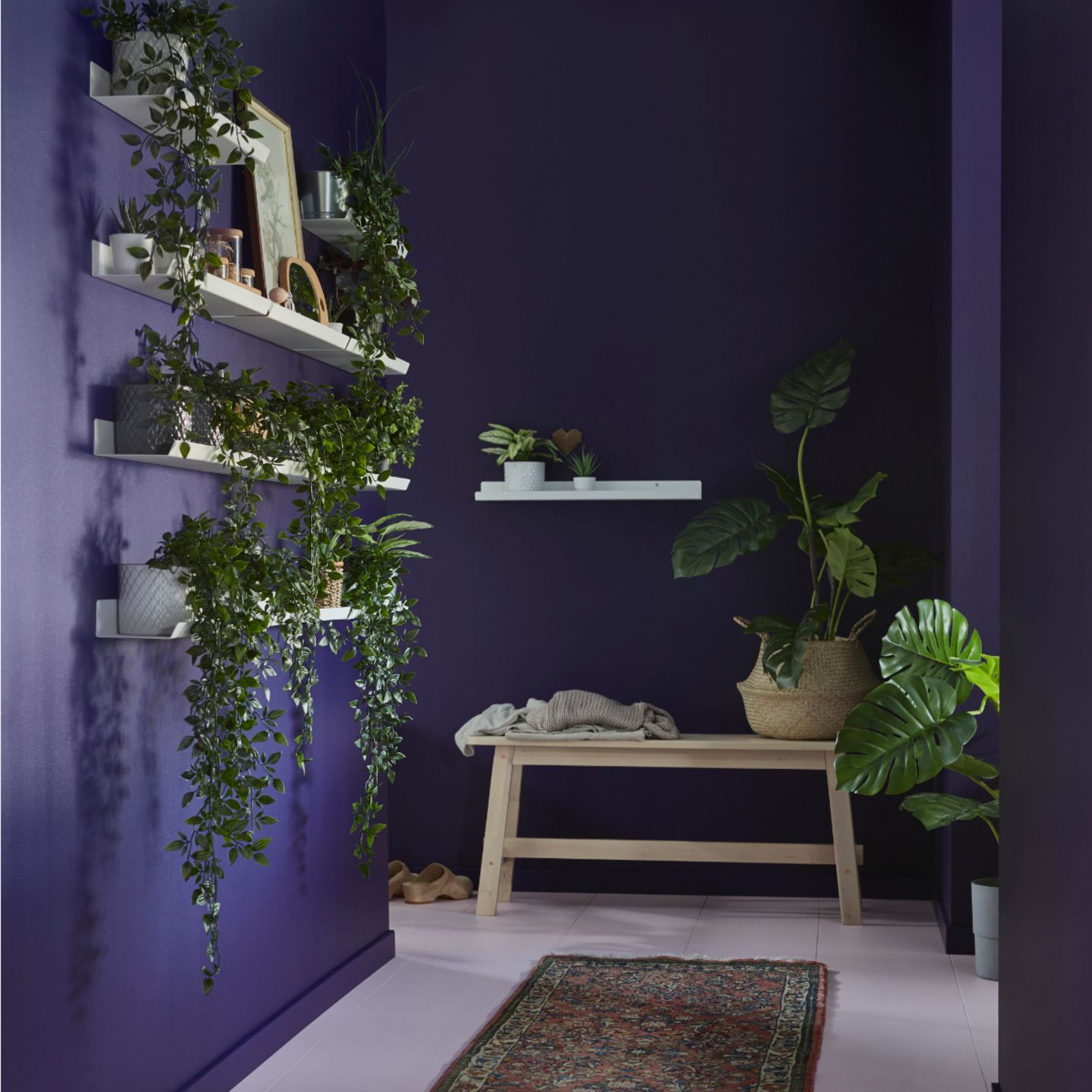 Dunkelblau gestrichener Raum mit Zimmerpflanzen auf Bilderleisten