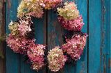 Herbstkranz aus rosa und weiß blühenden Hortensien und dunklen Beeren vor einer blau lackierten Holztür