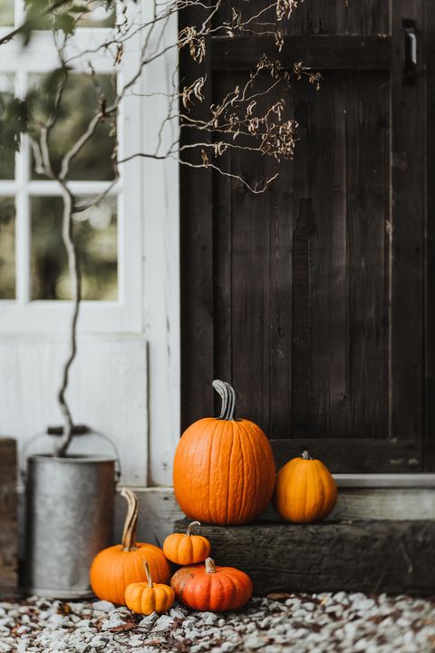 Herbstdeko für den Hauseingang Kürbisse [SCHÖNER WOHNEN]