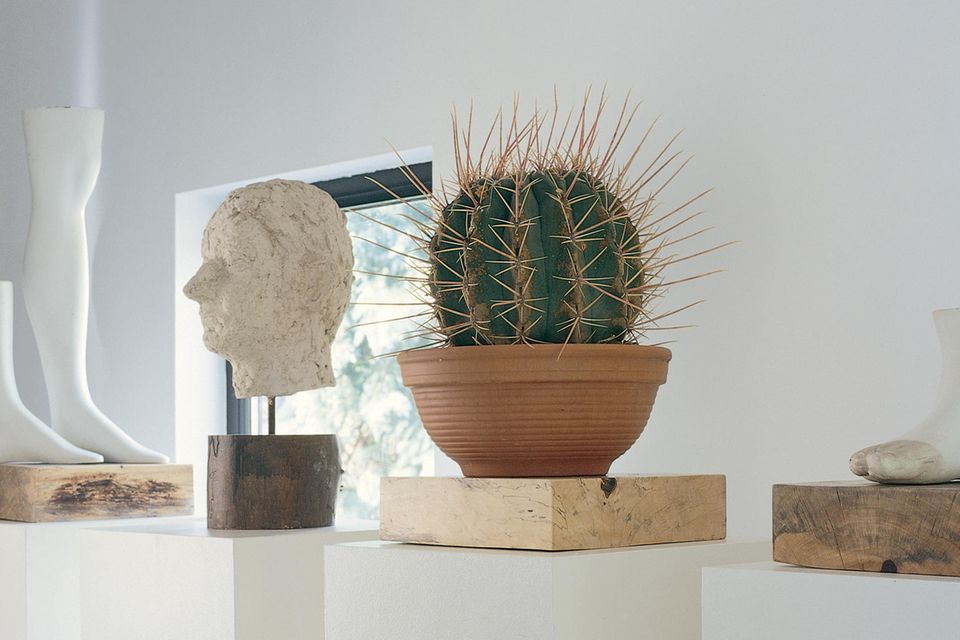 Teufelsnadelkissen (Ferocactus acanthodes) in einem Topf auf einer Empore neben anderen Skulpturen aus Gips und Stein