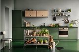 Küche mit grünen Fronten und Hängeregal in hellem Holz