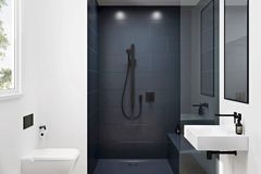 Badezimmer mit weißen Wänden, Holzboden und schwarzer Dusche