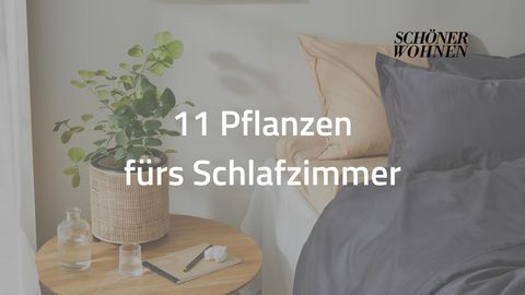VIDEO Pflanzen fürs Schlafzimmer [SCHÖNER WOHNEN]