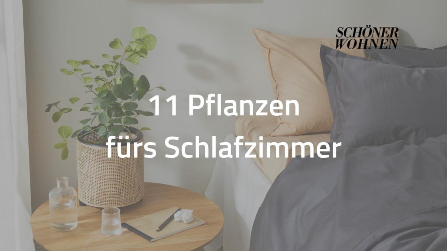 VIDEO Pflanzen fürs Schlafzimmer [SCHÖNER WOHNEN]