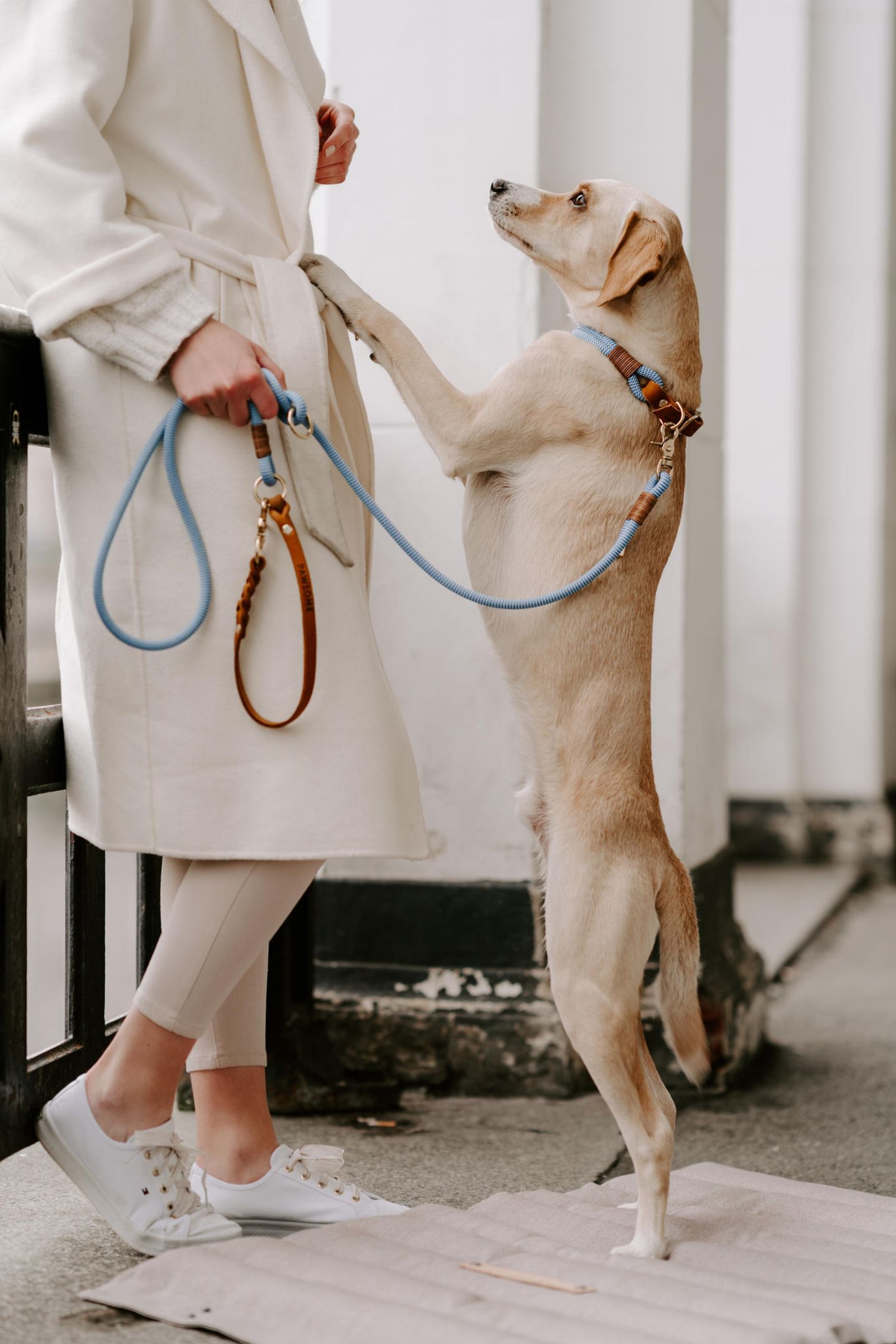 halsband und leine für hunde Tau Halsband Hund | mit Lederschnur main image 0