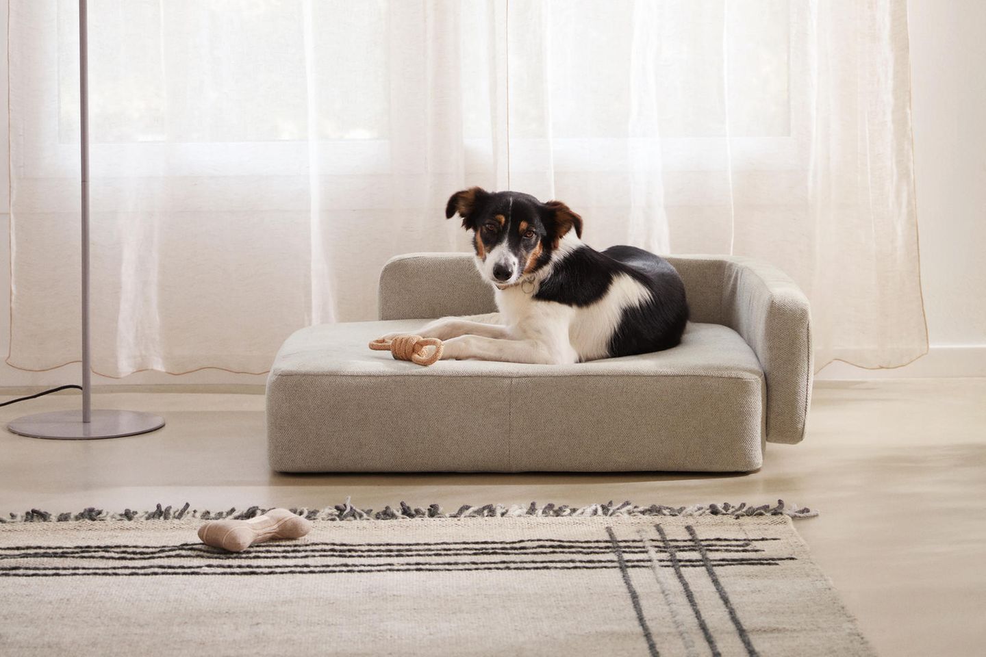 Luxus-Hundebetten & geschmackvolle Design-Accessoires - [SCHNER WOHNEN]