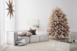 Cleanes, helles Wohnzimmer mit einem Weihnachtsbaum aus Pampasgras
