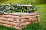 Hochbeet mit schmalen entrindeten Baumtämmen und grünem Gemüse