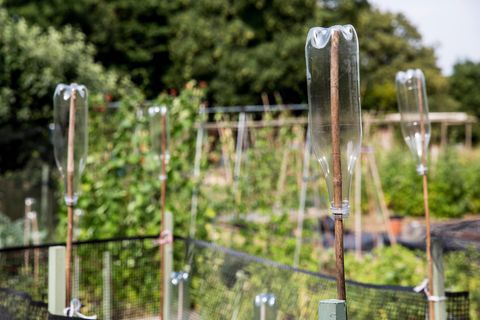 Nahaufnahme von leeren Plastikflaschen auf Holzstöcken in einem Garten