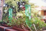 Grüne Plastikflaschen zum Gießen von Blumenkästen auf dem Balkon als Bewässerungssystem