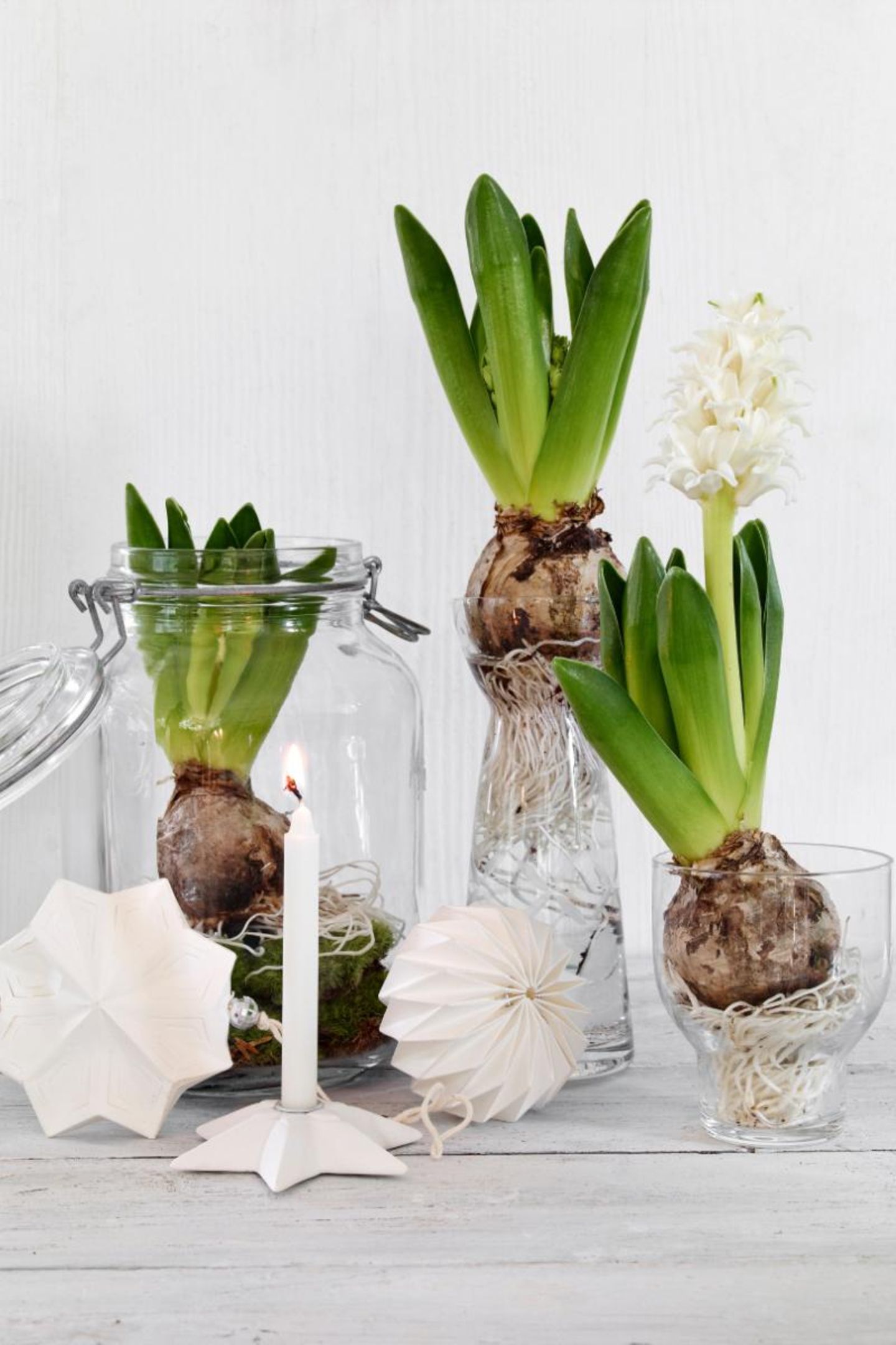 Florale Osterdeko: Hyazinthen im Glas