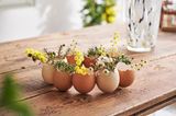 Eierschalen aneinangergeklebt zu einem Osterkranz und mit Blumen gefüllt