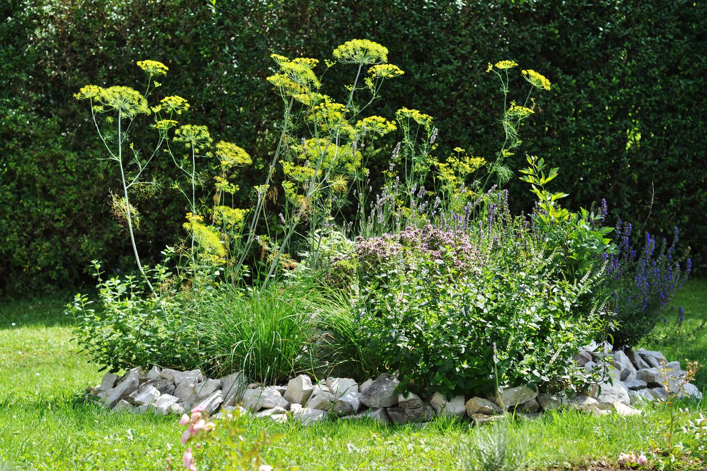 Kräuterhügel im Garten [SCHÖNER WOHNEN]