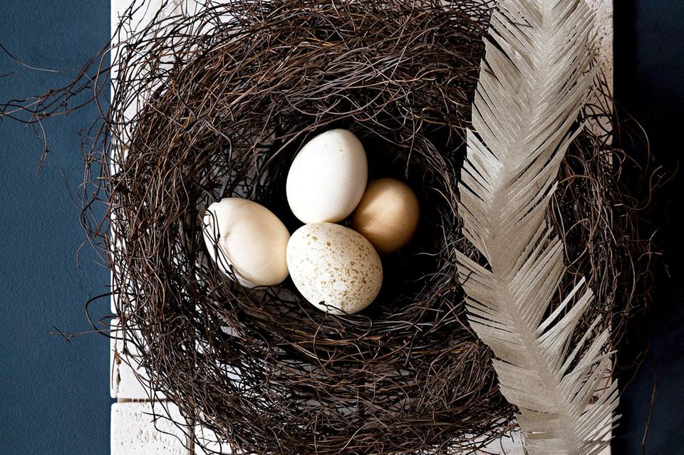 Osternest aus Reisig gebunden mit hellen Eiern und einer Feder in der Mitte