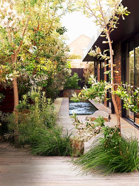Formalen Teich für den puristischen Garten [SCHÖNER WOHNEN]