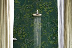 Dusche mit wasserdichter, grüner Tapete, die Schmetterlinge und Blumen ziert
