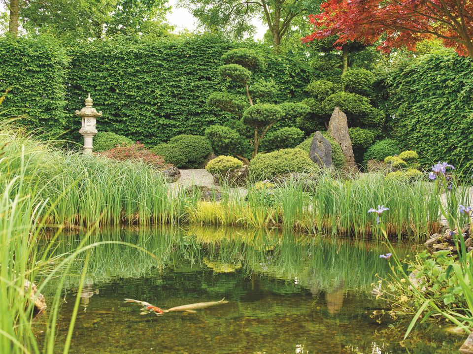 Tote Gartenecke mit Teich verschönern [SCHÖNER WOHNEN]