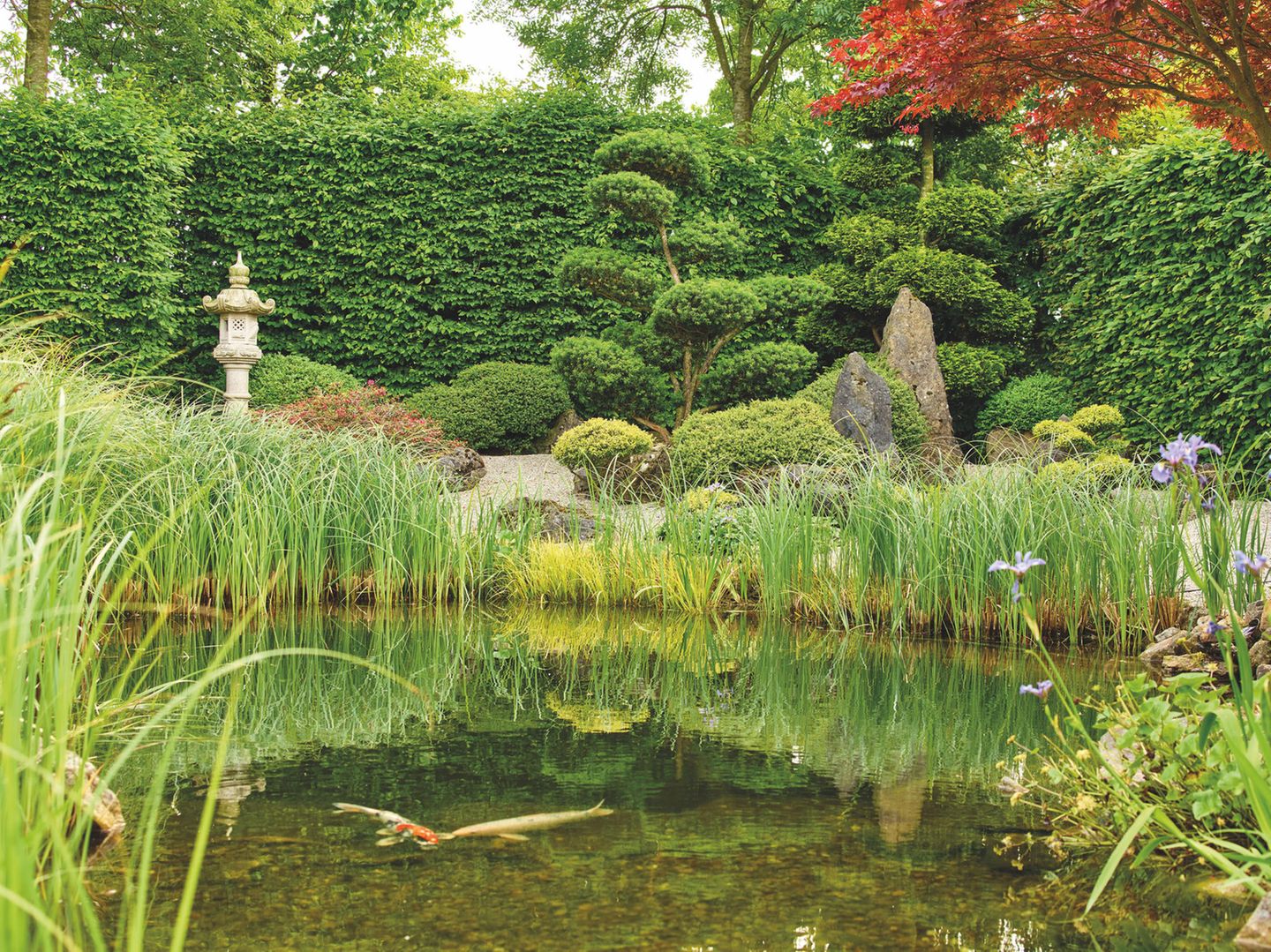 Tote Gartenecke mit Teich verschönern [SCHÖNER WOHNEN]