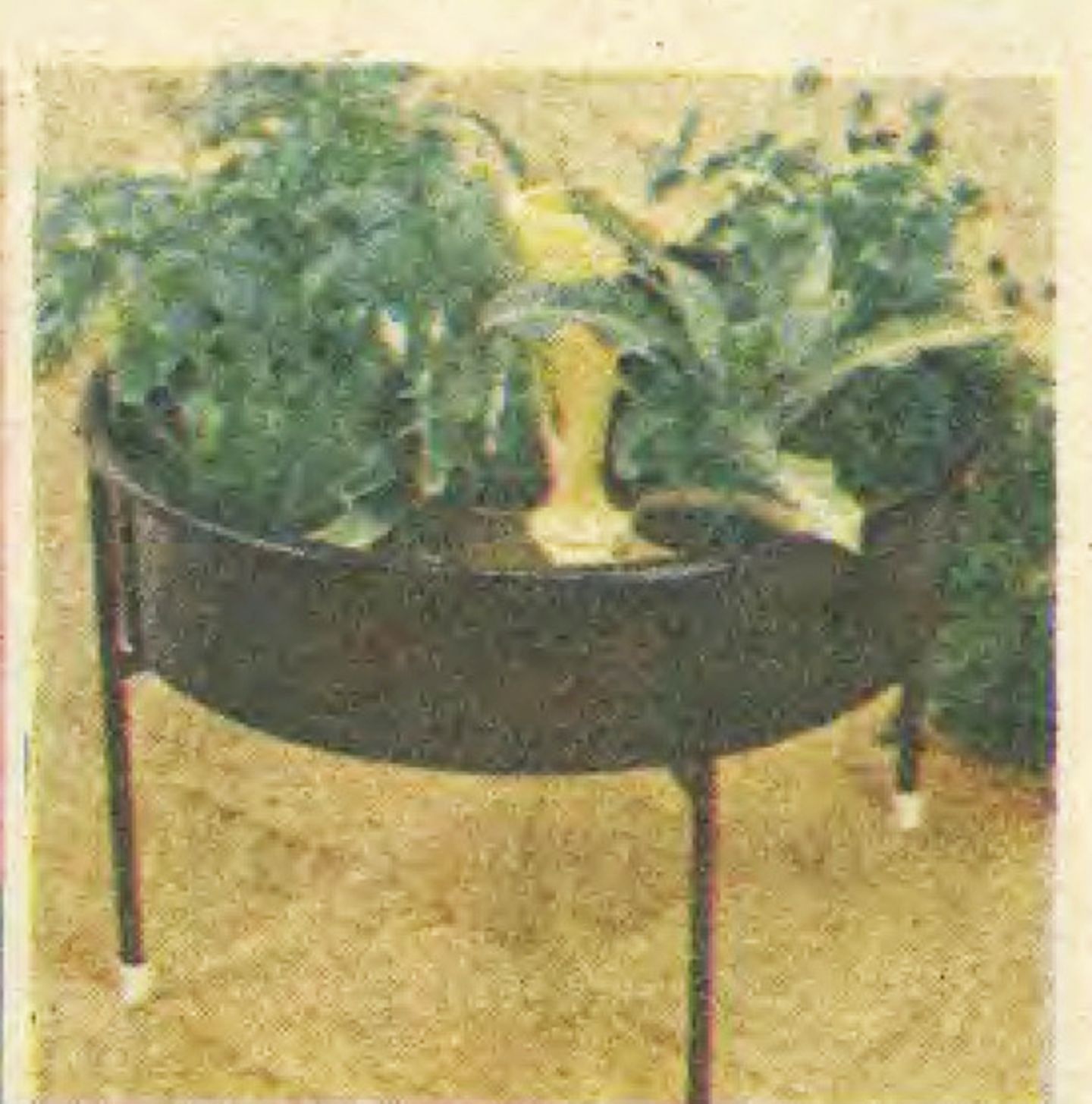 Vintage-Ikea: Blumenständer 