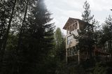Holzhütte auf Stelzen inmitten eines Waldes