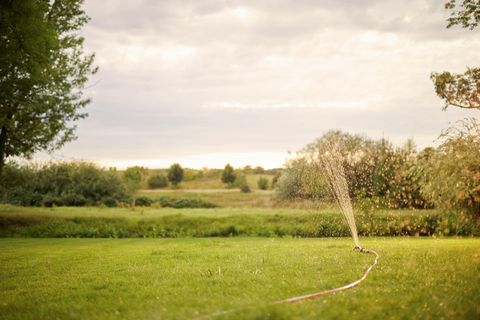 Ein Rasensprenger bewässert eine Wiese mit grünem Rasen