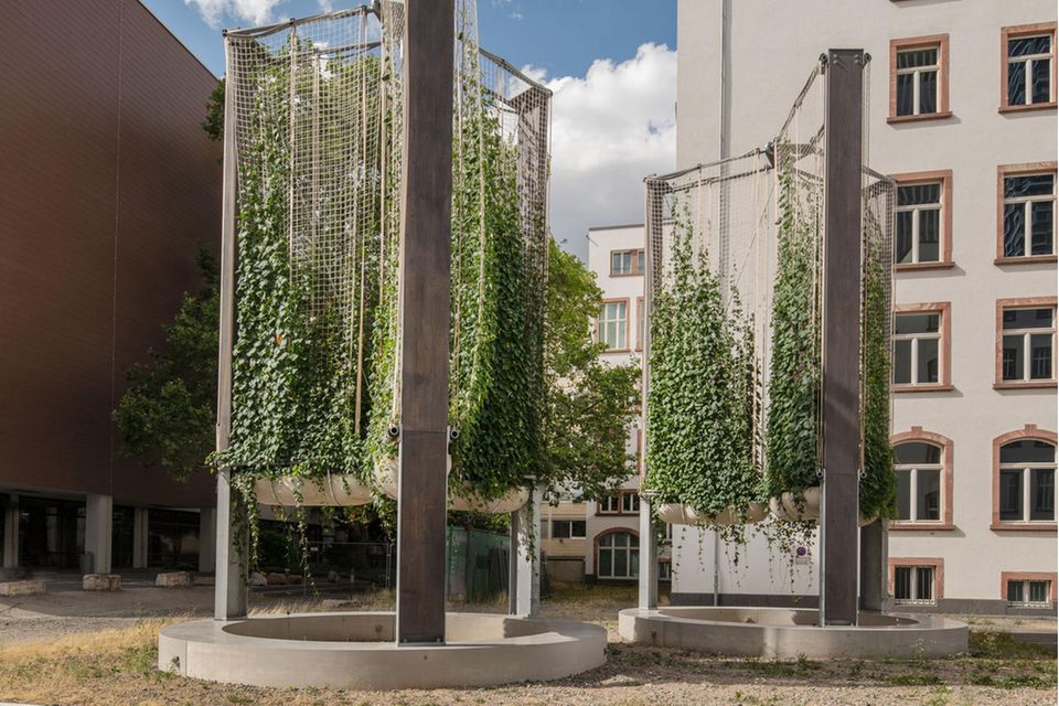 Pflanzensegel zum Beschatten von heißen Innenstädten vor einem Altbaugebäude